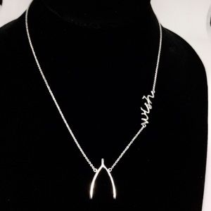 LAST❗️wishbone Necklace